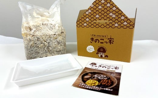 
                  おうちで楽しむ たもぎたけ栽培キット きのこっ家【きのこ たもぎたけ タモギタケ 栽培 キット 菌床  1個 鳥取県 日吉津村】
                