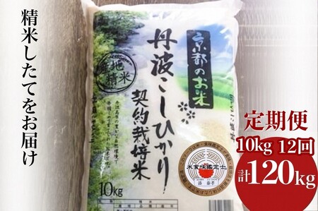 【12回定期便】コシヒカリ 10kg 定期便 精米 白米