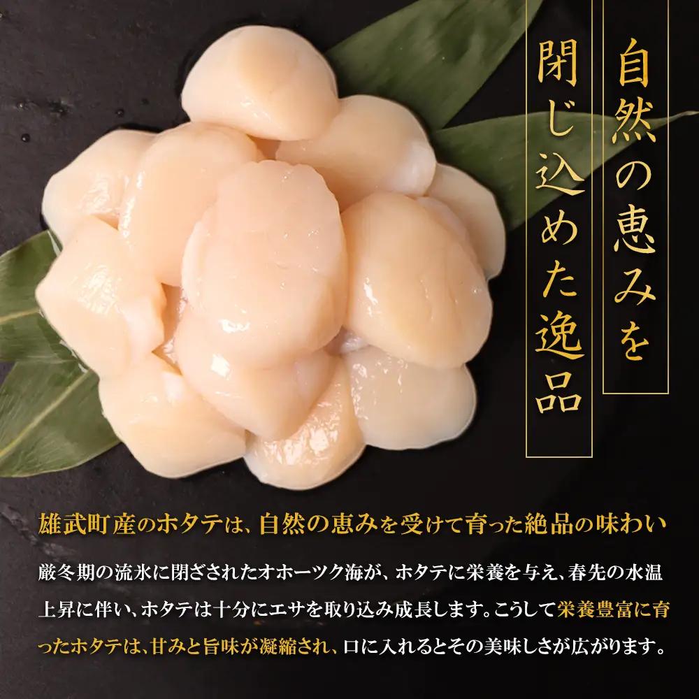 【ふるなびWEEK対象】北海道雄武町産ほたて貝柱 中小混合 200g×3 (冷凍) 使い切りパックFN-Limited-PR【0719501】