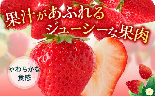 さぬきひめ いちご化粧箱 約400g×2箱【2024年11月中旬～2025年1月下旬配送】