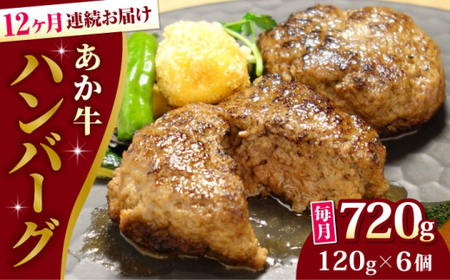 【全12回定期便】あか牛 100％ハンバーグ 約120g×6個 ハンバーグ[AYCQ085]