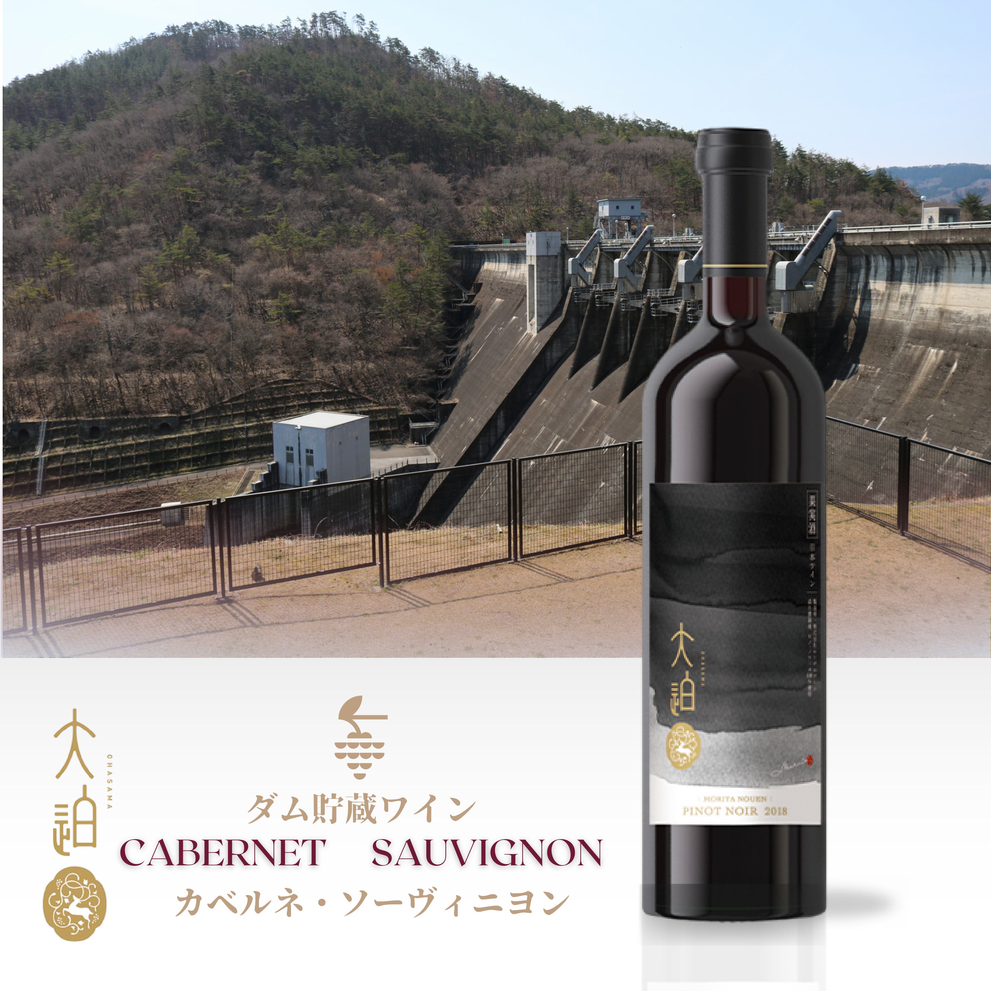 【ふるさと納税】「早池峰の恵み」モリタワイン カベルネ・ソーヴィニヨン ダム貯蔵ワイン 赤ワイン ≪選べるヴィンテージ 2017 2021≫ ミディアムボディ 辛口 720ml 750ml ×1本 花巻市 岩手県