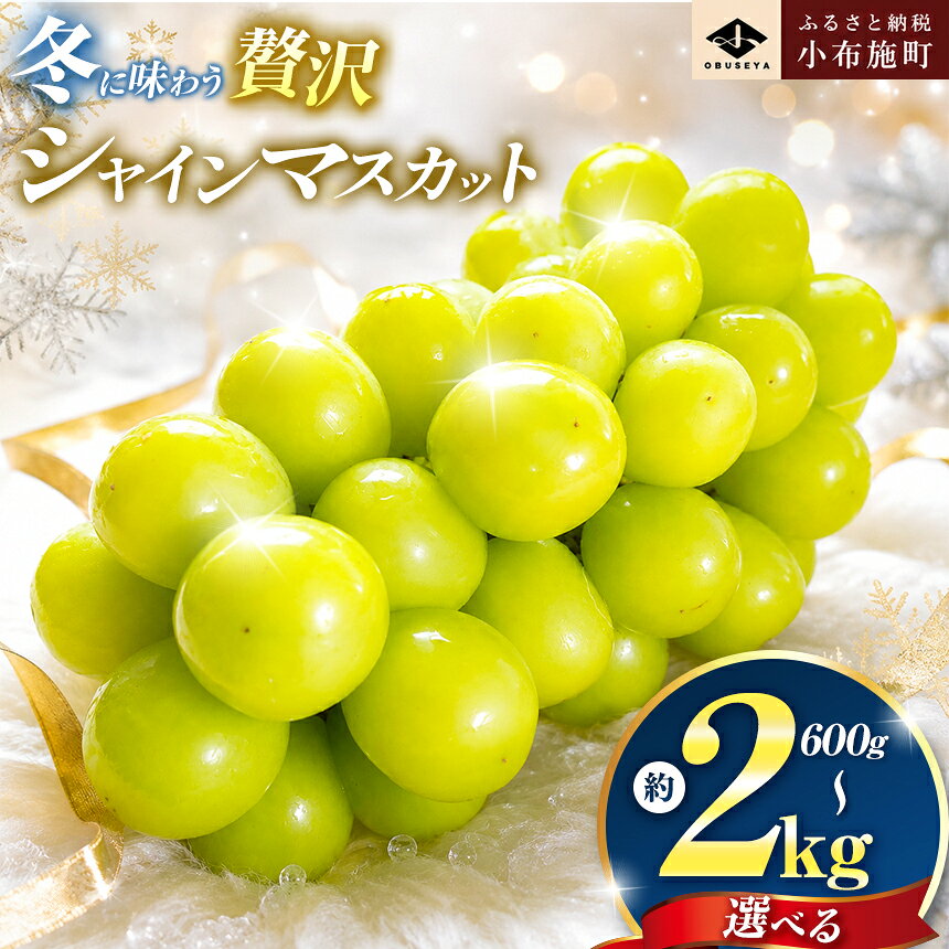 【ふるさと納税】先行受付 蔵出し冬のシャインマスカット 選べる 約600g 約760g 約1kg 約1.3kg 約2kg ［小布施屋］ぶどう フルーツ 果物 くだもの 長野県 冷蔵便 クール便 産地直送 令和8年産【2026年11月中旬～2027年2月発送】