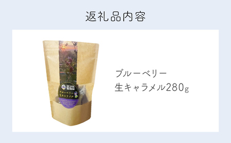 ブルーベリー 生キャラメル 280g 無添加 摘みたて 自然栽培 手作り 果実 100% キャラメル アントシアニン トッピング 石巻市産 宮城県 石巻市