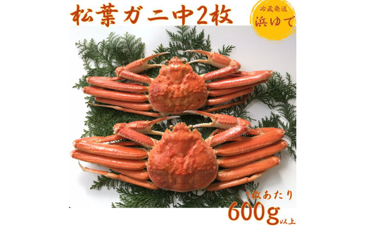 54M.■浜下商店■松葉ガニ中2枚〔浜ゆで〕