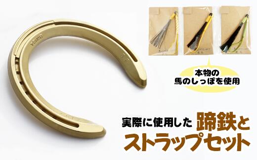 【ふるさと納税】 おすすめ 蹄鉄 ( アルミ ゴールド ) × 馬のしっぽの毛 ストラップ (鹿毛) 馬蹄 馬 しっぽ 尾 本物 蹄 アクセサリー インテリア 日用品 置物 雑貨 幸運 厄除 お守り ラッキーアイテム 開運 うま ウマ グッズ 岩手県 滝沢市 送料無料 馬っこパーク・いわて