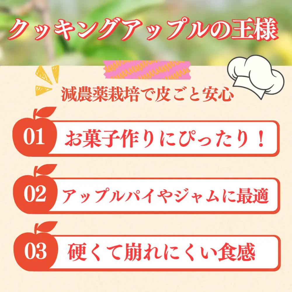 フルーツファーム中村農園　【10月下旬発送 先行予約】樹上熟成　グラニースミス 3kg | りんご グラニースミス 青りんご 加工用