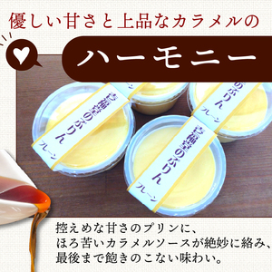 プレーンプリン ４個 セット ぷりん お菓子 洋菓子 おやつ デザート スイーツ 冷蔵 お取り寄せ 壱福堂 新潟 新発田市 ippukudo001