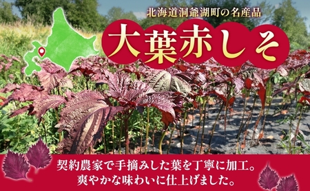 北海道 とうやの 赤しそ ジュース 希釈用 500ml×2本入り シソ しそ 大葉赤紫蘇 3～4倍 濃縮 契約農家 手詰み 産地直送 ピュアフーズとうや 送料無料 果実飲料 洞爺湖 