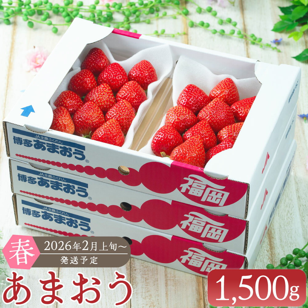 【ふるさと納税】【春】あまおう 6パック 合計 約1500g 1パック 約250g イチゴ いちご 苺 果物 くだもの フルーツ 1kg以上 福岡県産 九州 みやま市 予約 送料無料 【2026年2月上旬～3月下旬以降発送予定】