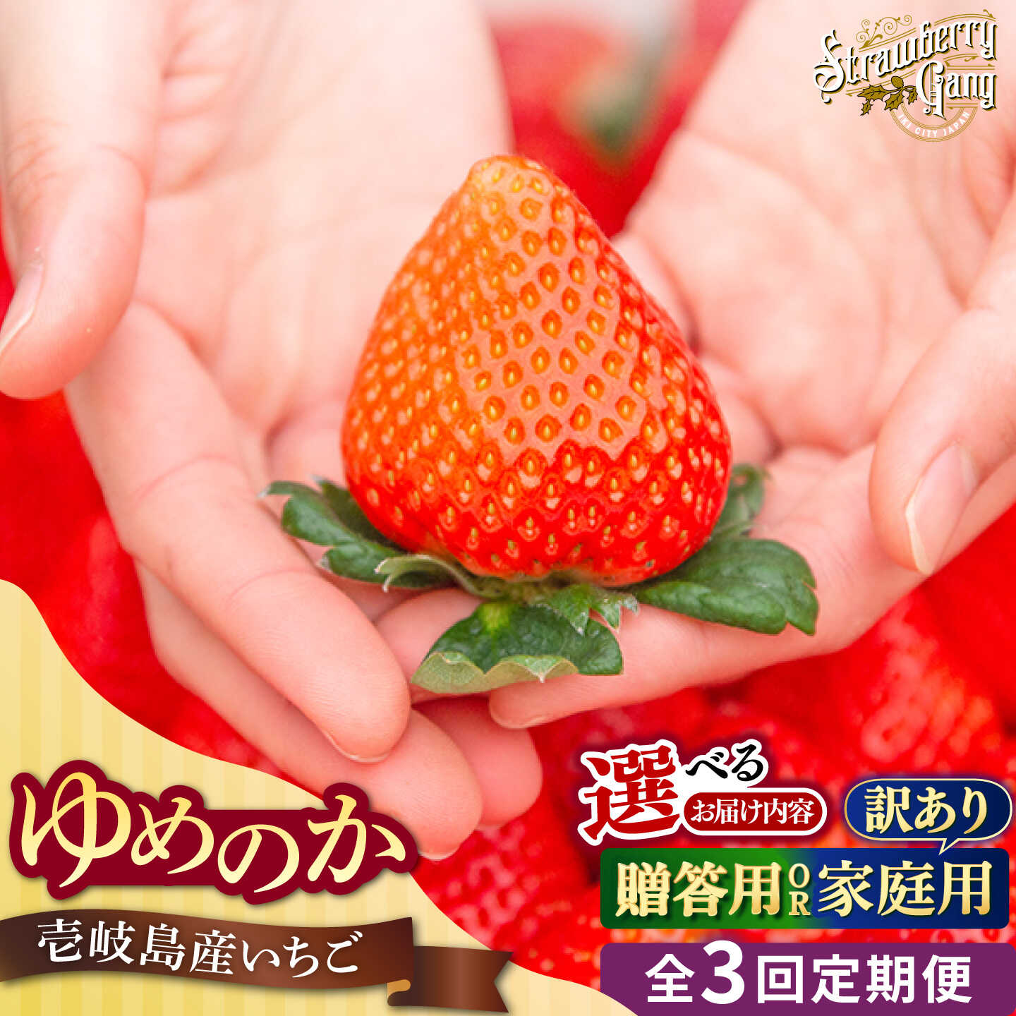 【ふるさと納税】【先行予約】【選べる贈答用/訳あり】【全3回定期便】ゆめのか 約250g×4パック 【2027年1月以降順次発送】《壱岐市》【Strawberry Gang】 [JEM002/004] いちご イチゴ 苺 定期便 果物 フルーツ スムージー 訳あり