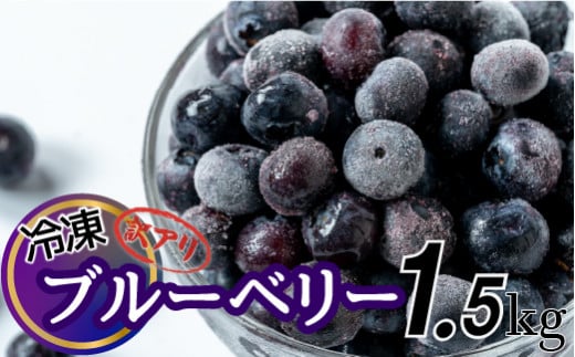【訳アリ・大容量】シャーベット感覚！四万十町産【冷凍】ブルーベリー1.5kg Cvs-09 冷凍 国産 フルーツ 果物