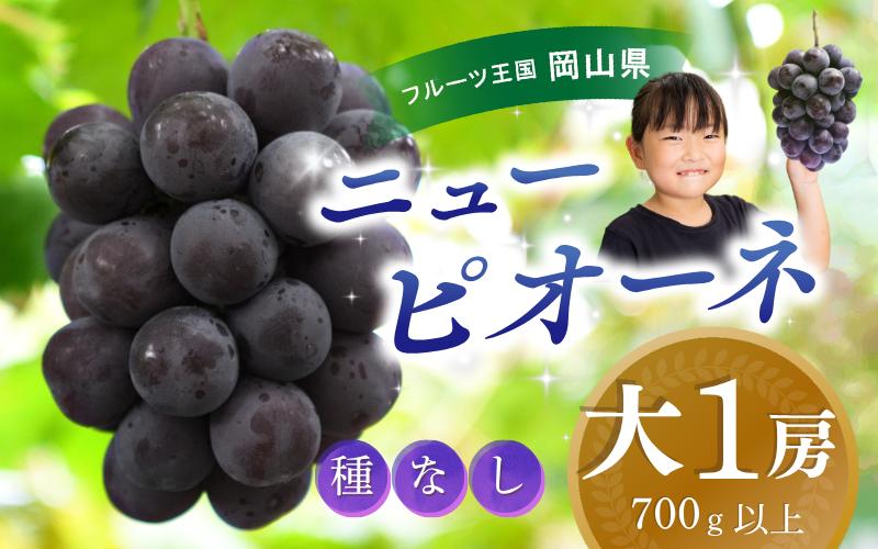 
            【2025年先行予約】ぶどう 岡山 花笑み農園『ニューピオーネ』700g以上（大1房） hana45. 岡山 真庭 ニューピオーネ 高級 贈答 2025 真庭市 大粒 葡萄 果物 フルーツ ニューピオーネ 人気 数量限定 2025年9月上旬～ 受付順に発送予定
          