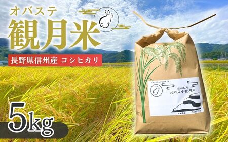 【令和7年産 新米予約】贅沢な棚田のお米 オバステ観月 ( 5kg ) 精米 白米 コシヒカリ 姨捨 信州 千曲市 長野県産｜ コシヒカリ コシヒカリ コシヒカリ コシヒカリ コシヒカリ