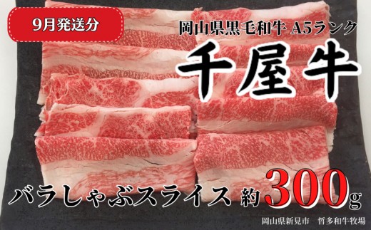 【2026年9月発送】千屋牛 バラしゃぶスライス(約300g) 牧場直送便 A5