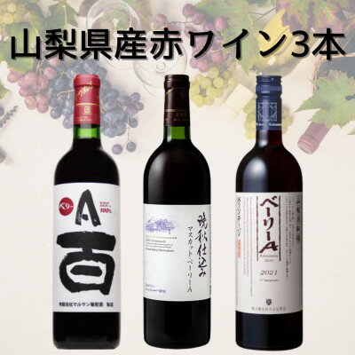 【ふるさと納税】山梨県産ワイン3本セット　042【配送不可地域：離島】【1682289】