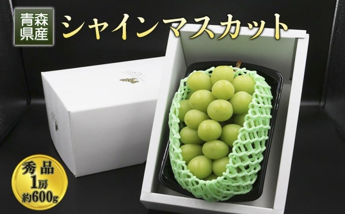 
            [№5554-0196]青森県産 シャインマスカット 秀品 1房 約600g 果物 ぶどう フルーツ 豊かな甘み 種無し 皮ごと 大粒 化粧箱入り デザート
          
