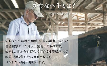 023-10 数量限定!かわなべ牛ハラミ・牛タンセット
