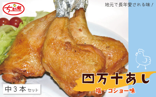 【ちきん館】四万十あし（塩・コショー味）中 3本セット 高知県 高知 四万十市 四万十 しまんと 国産 おかず チキン 鶏 鶏肉 パーティー 柔らかい 冷凍 真空 ジューシー 惣菜 ギフト 25-936