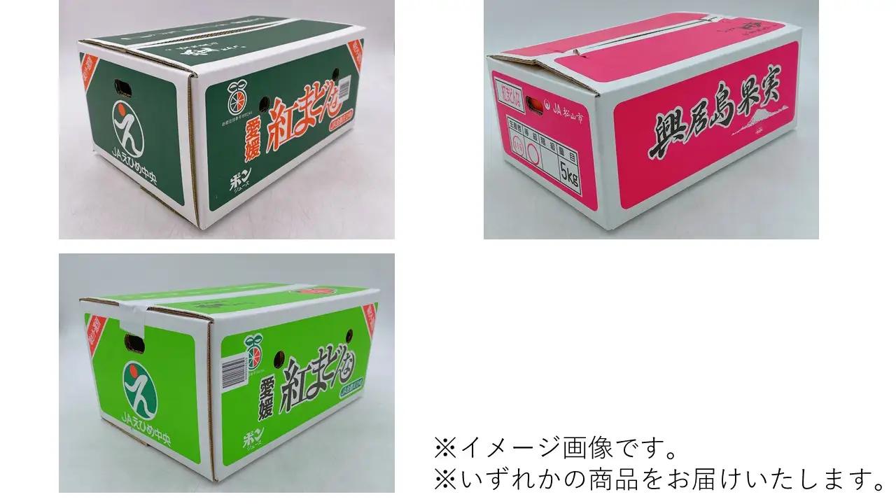 【2026年11月中旬頃から順次発送】【紅まどんな】 M ~4L 5kg [ご家庭用] まどんな【FA0403】