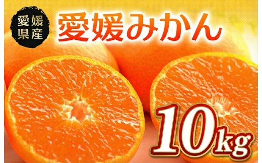 温州みかん 秀品 10kg 愛媛県 四国中央市産 品種厳選 送料無料 果物 フルーツ