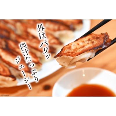 ふるさと納税 島原市 焼くだけ!一か月に1500個売り上げる餃子 45個(15個×3パック) |  | 02