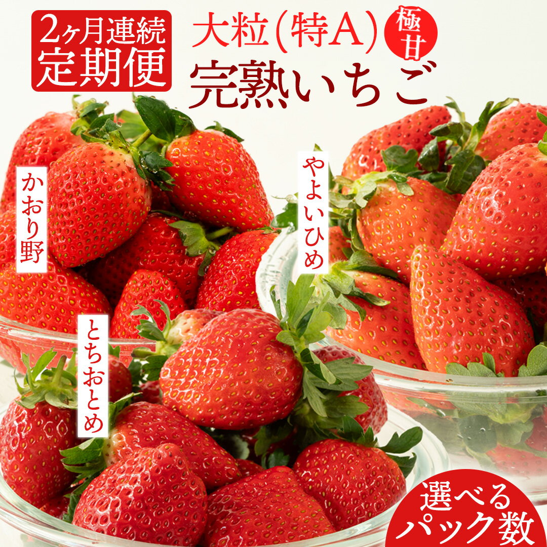 【ふるさと納税】 【2ヵ月 定期便】 完熟 いちご 合計 4～8パック（1P260g） 国産 イチゴ 苺 果物 くだもの フルーツ かおり野 とちおとめ やよいひめ 茨城県産 KEK