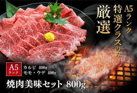 【3月末までに発送】近江牛A5ランク焼肉美味セット【800g】【DG10SM-3m】