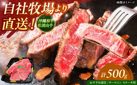 サーロインステーキ 【数量限定】沖縄和牛 佐渡山牛 サーロイン＆希少部位 ステーキ肉 500g  BCBC004 牛肉