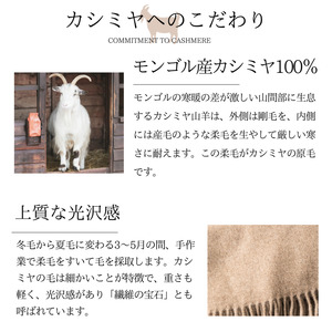 カシミヤマフラー ベージュ【カシミヤ100%】｜カシミア お洒落 おしゃれ ファッション 小物 チェック柄 ストール 女性 男性 プレゼント 誕生日プレゼント [4405]