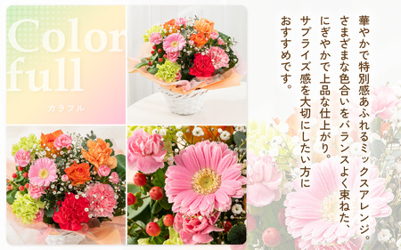 母の日限定！ カーネーション入り フラワーアレンジメントM ＆ バウムクーヘン (バウムッシュ) ギフトセット カラフル [B-20708_03]