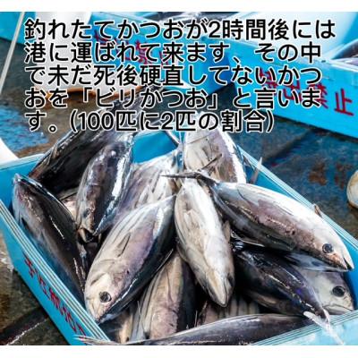 ふるさと納税 南国市 モチモチ食感!ビリかつおわら焼きタタキ250g×1節(タレ・ニンニク付) |  | 02