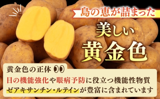 【先行予約】壱岐黄金じゃがいも 3kg（500g×6袋）【2027年2月中に発送】《壱岐市》【壱岐市農業協同組合】 じゃがいも ジャガイモ ポテト 野菜 季節の野菜 夏野菜 冬野菜 [JBO167]