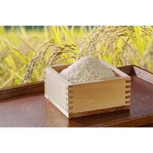 【令和6年産】能登米こしひかり「五代目三次」 5kg×4【1145069】