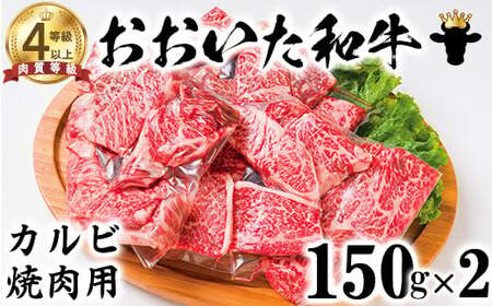 おおいた和牛 カルビ 焼肉用 & 霜降り サーロイン ステーキ 【ニード牧場】 高級 国産 ブランド 黒毛 和牛 豊後牛 受賞 バーベキュー 食べ比べ 九州 大分県 ＜129-014＞