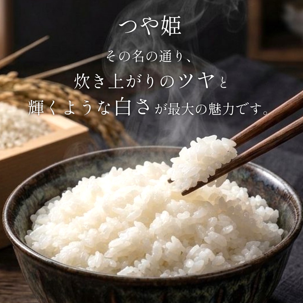 【 令和8年産 】 新米 つや姫 10kg ＜ 毎月 10kg 6回 お届け ＞