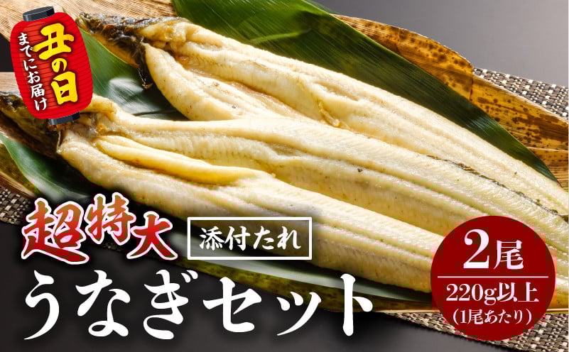 
            【選べる発送月】うなぎ白焼(超特大サイズ) 2尾_M069-023-SKU
          