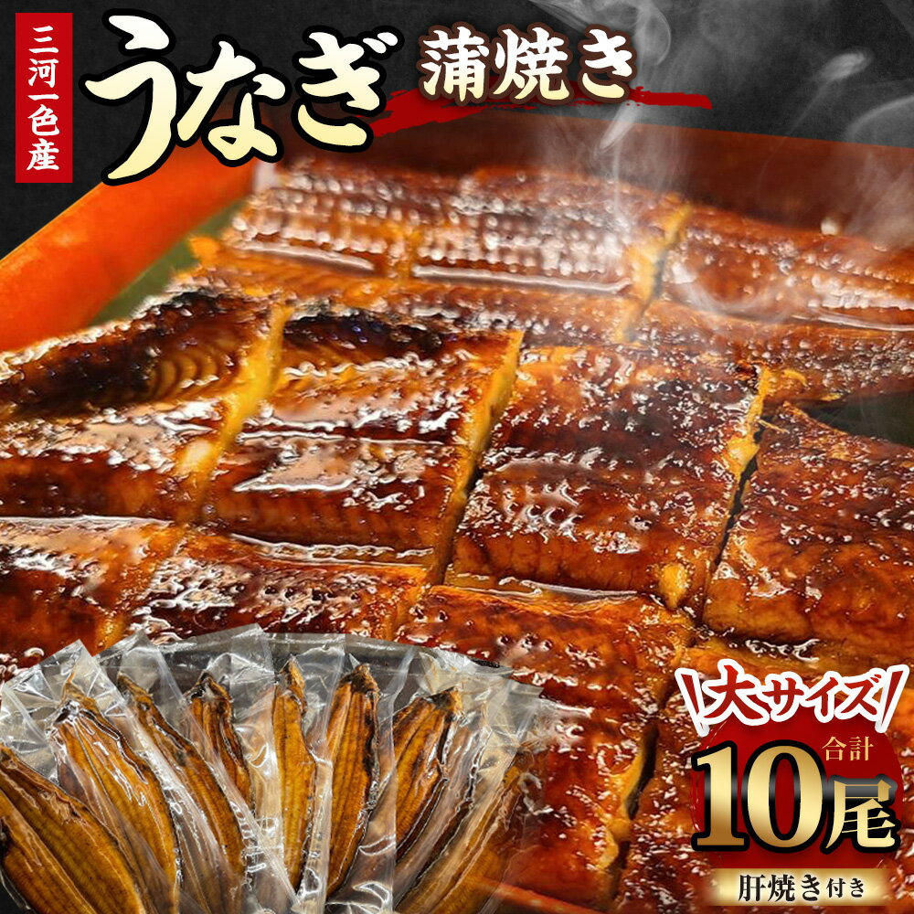 【ふるさと納税】三河一色産 うなぎ蒲焼き 大10尾 タレ付き お魚 湯煎 惣菜 セット 簡単調理 冷凍 幸田町 送料無料