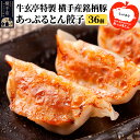 【ふるさと納税】牛玄亭特製 横手産銘柄豚 あっぷるとん餃子 36個（18個入り×2）