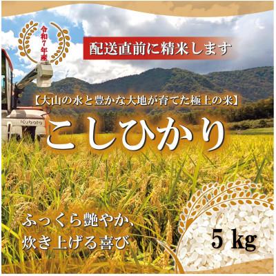 ふるさと納税 伯耆町 令和7年 鳥取県産　山崎農園こしひかり5kg