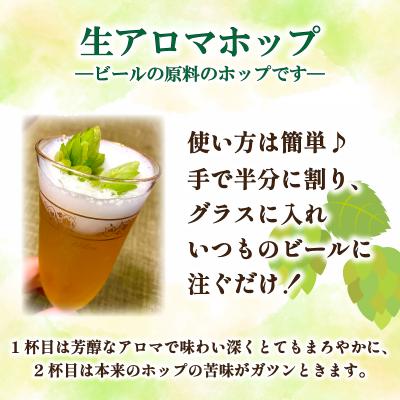 ふるさと納税 下関市 生ホップ 〜ビールに浮かべて〜 50g 下関 山口 IN102 |  | 01
