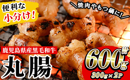 鹿児島県産黒毛和牛ホルモン 丸腸 約600g(300g×2P) 国産 鹿児島県産 黒毛和牛 モツ もつ鍋 焼肉 ホルモンミックス お取り寄せ 冷凍 生冷凍【A-1739H】