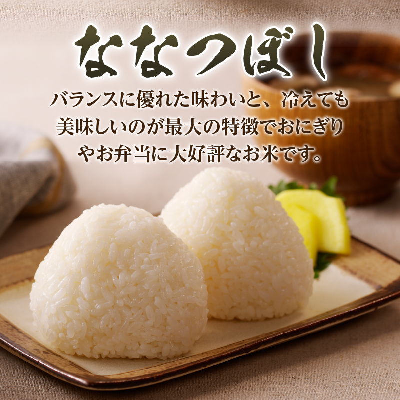 《令和8年産新米》3ヵ月連続お届け!ななつぼし5kg 特A 銘柄 ブランド米 精米 北海道 定期便 道産 お弁当 滝川市
