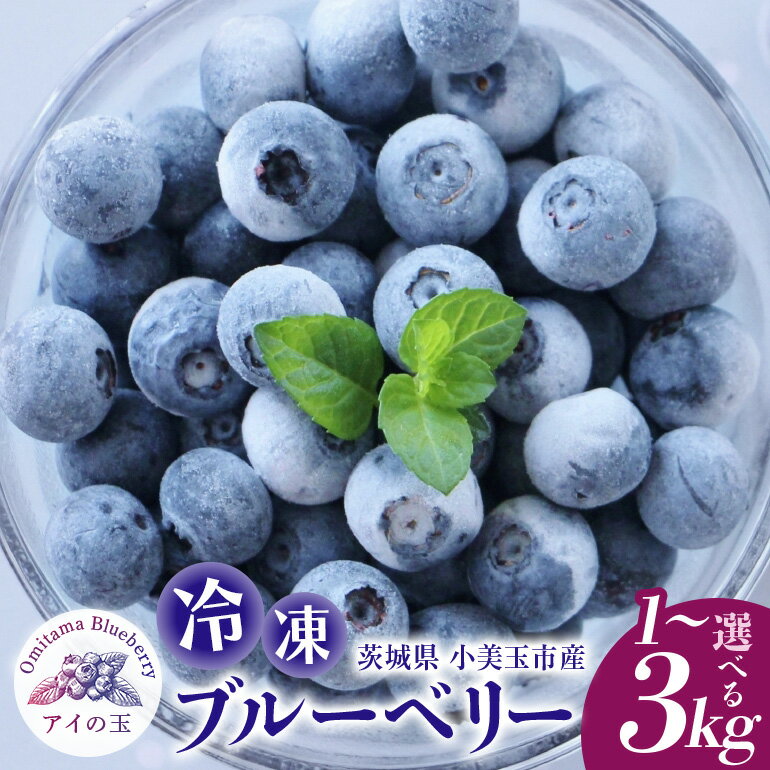 【ふるさと納税】【アイの玉】冷凍ブルーベリー 選べる 1～3kg ブルーベリー 冷凍 フルーツ 果物 くだもの 新鮮 国産 スムージー ジュース ビタミンE アントシアニン ジャム 健康 美容 食物繊維 数量限定 期間限定 73-SKU-A 【2025年10月1日～2026年5月31日順次発送予定】