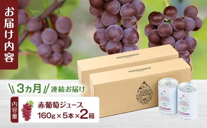 《 定期便 3ヵ月 》 赤葡萄ジュース「sonomama」（160g×5本）×2箱 ぶどう ブドウ ジュース ぶどうジュース 飲料