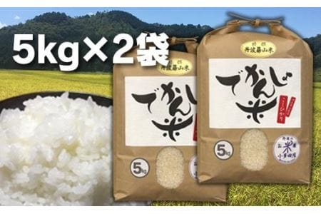 丹波篠山の地醤油漬、佃煮セット　でかんしょ米5kg×２と実山椒・山蕗 AD26