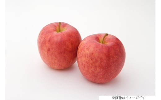 【期間限定発送】 りんご 高畠町産 涼香の季節 14～18玉 5kg [JA山形おきたま 山形県 高畠町 tk06ays870025] 果物 くだもの フルーツ 林檎 リンゴ 産地直送