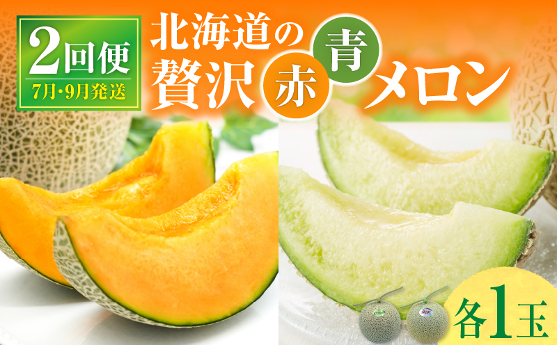 【 7月青肉・9月赤肉発送】北海道の贅沢　暑寒メロン食べ比べ2回便 【各1玉づつ】メロン 定期便 食べ比べ 先行予約 北海道 赤肉 青肉 糖度 14度以上 2026年 7月 9月 ブランドメロン