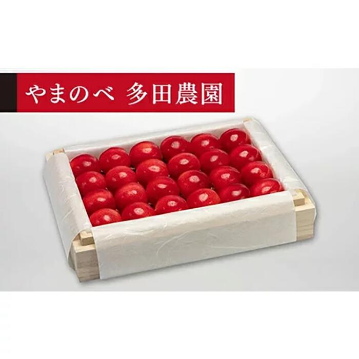 【ふるさと納税】《2026年先行予約》【特選ダイアナブライト】桐箱詰 約300g【やまのべ多田耕太郎のさくらんぼ 多田農園】期間限定 数量限定 山形県産 サクランボ フルーツ 果物 くだもの 贈答 F4A-0024