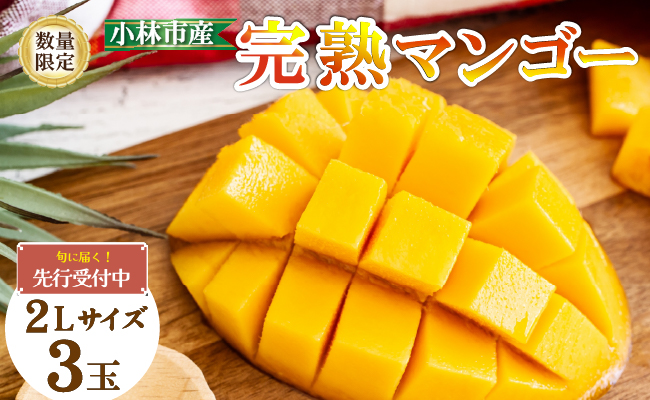 【数量限定・先行予約】厳選宮崎完熟マンゴーよくばり3玉 計1kg程度（フルーツ 2026 令和8年 マンゴー 先行受付 完熟マンゴー 宮崎 小林市 果物 人気）